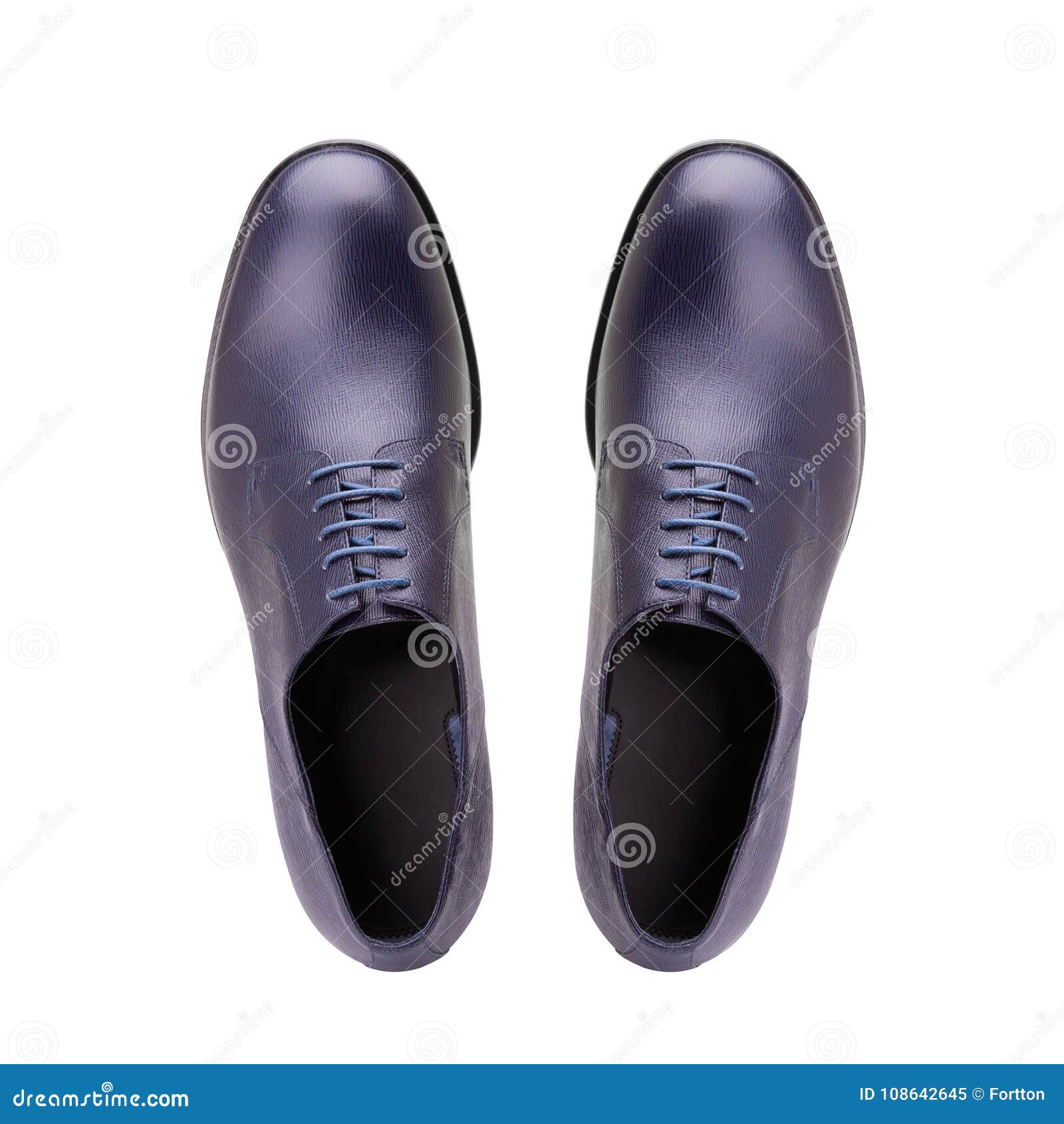 Men Shoes with Blue Leather Laces. Stock Image - Image of clothing ...