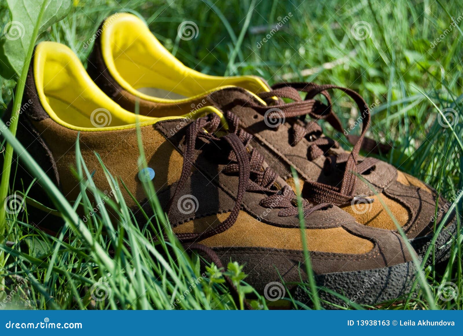 Men s shoes in grass stock image. Image of sneakers, grass - 13938163