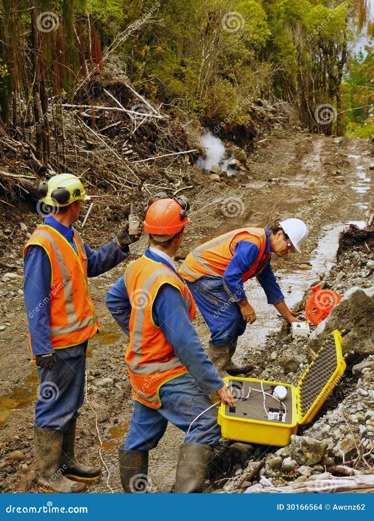 seismic reflective survey