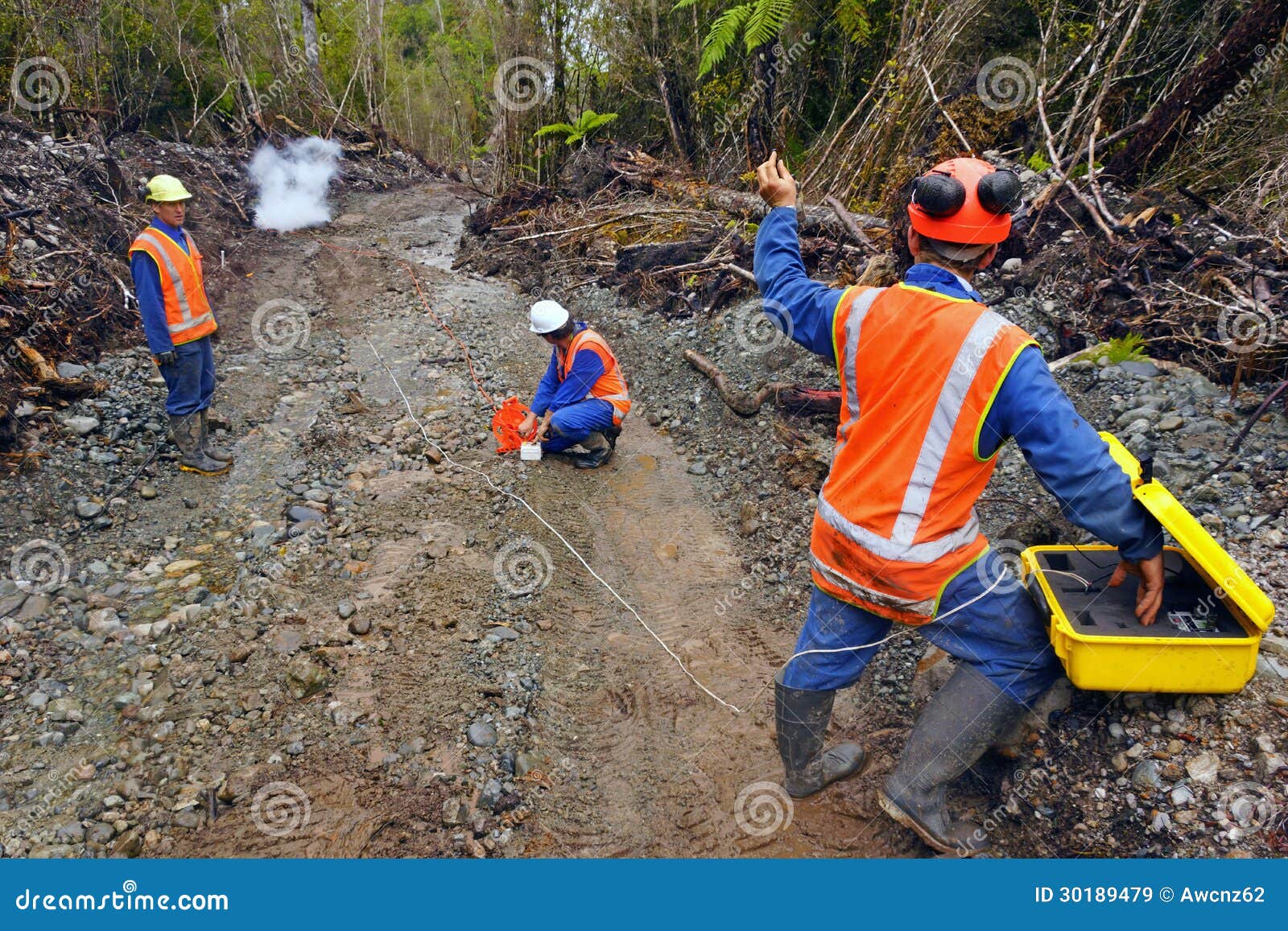 seismic reflective survey