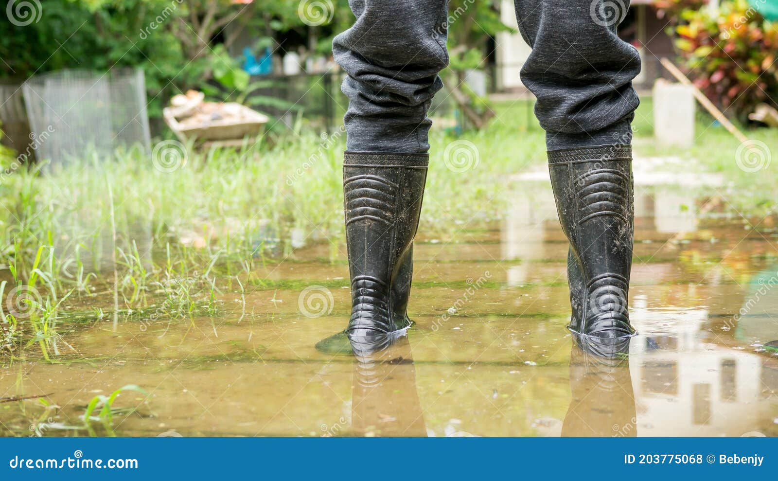 Men Wear Black Boots for a Flood Stock Photo Image of shoe, rain