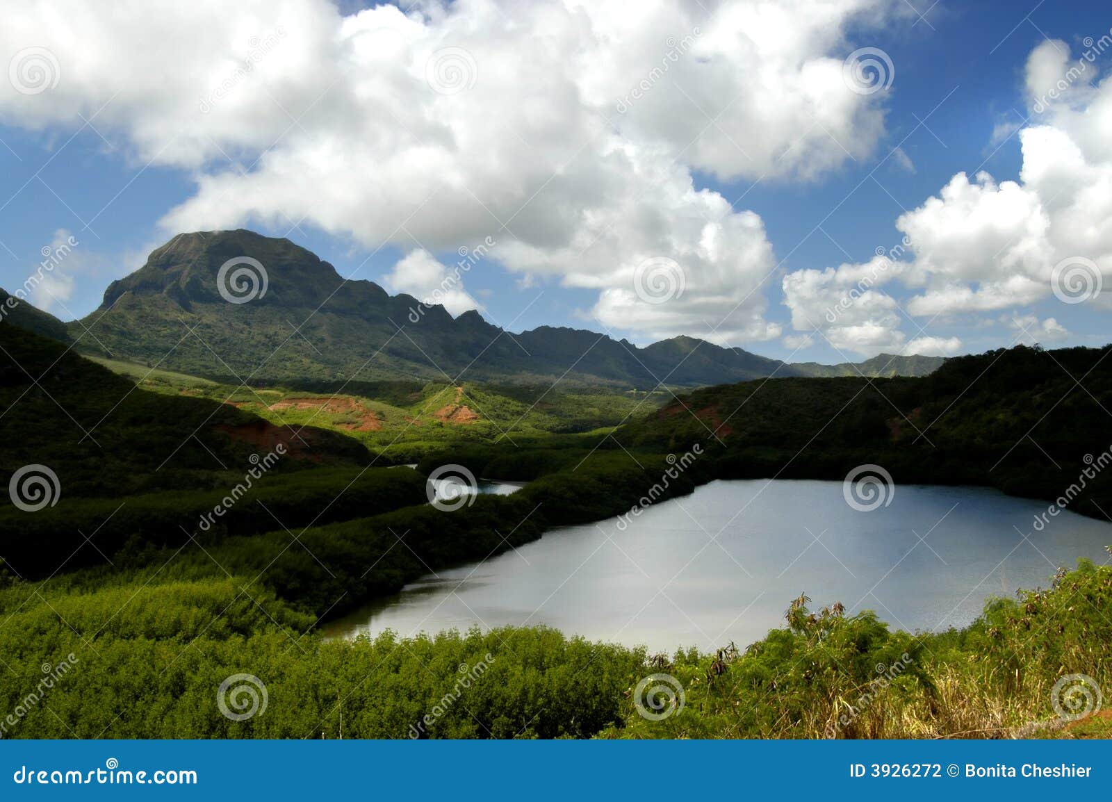 Menehune Stock Photos - Free & Royalty-Free Stock Photos from