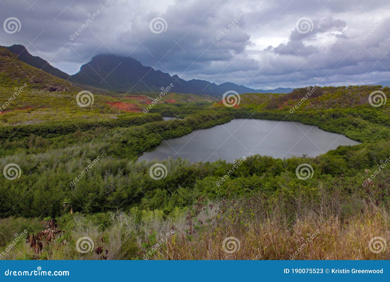 Menehune Fishpond Stock Photos - Free & Royalty-Free Stock Photos from  Dreamstime