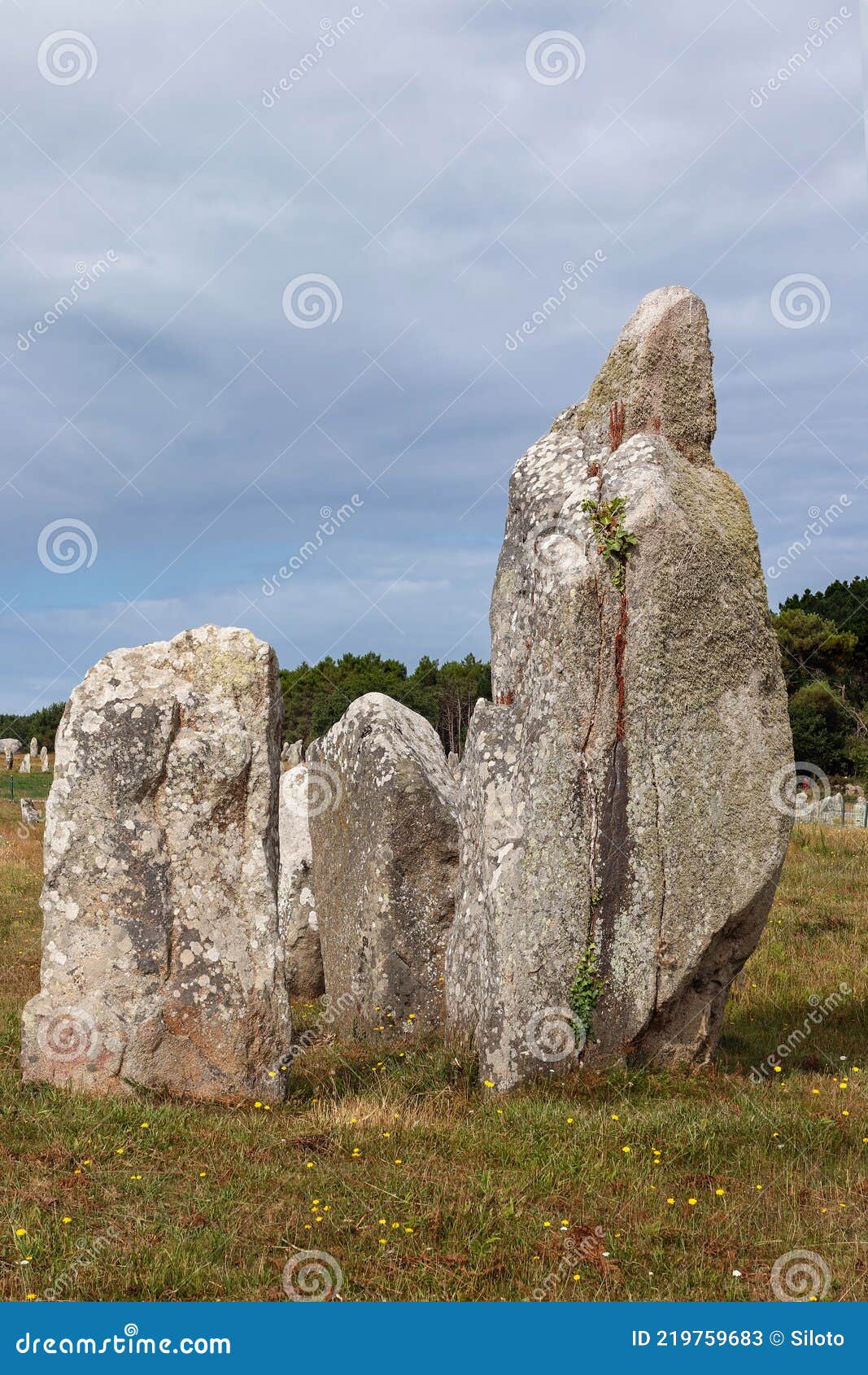 menhirs of the alignments of kermario