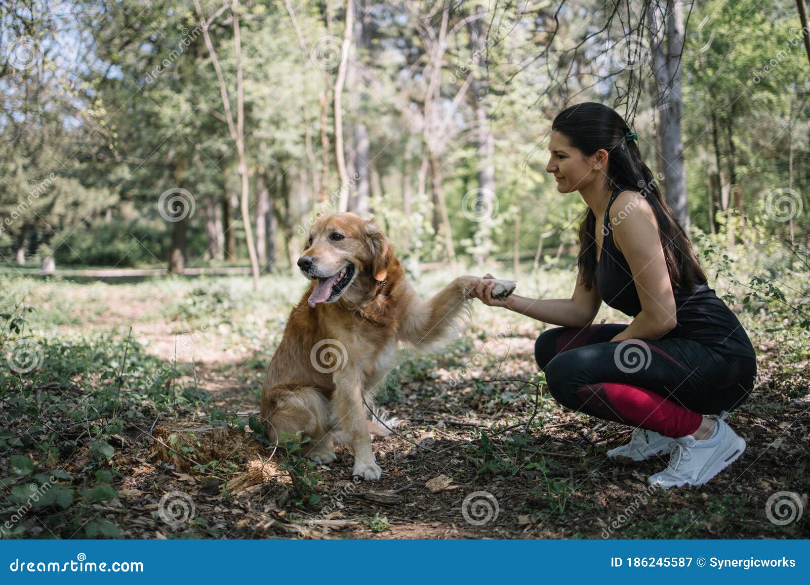 Menina Acasalando No Parque E Segurando Pata De Cachorros Imagem de Stock -  Imagem de mulher, exterior: 186245587