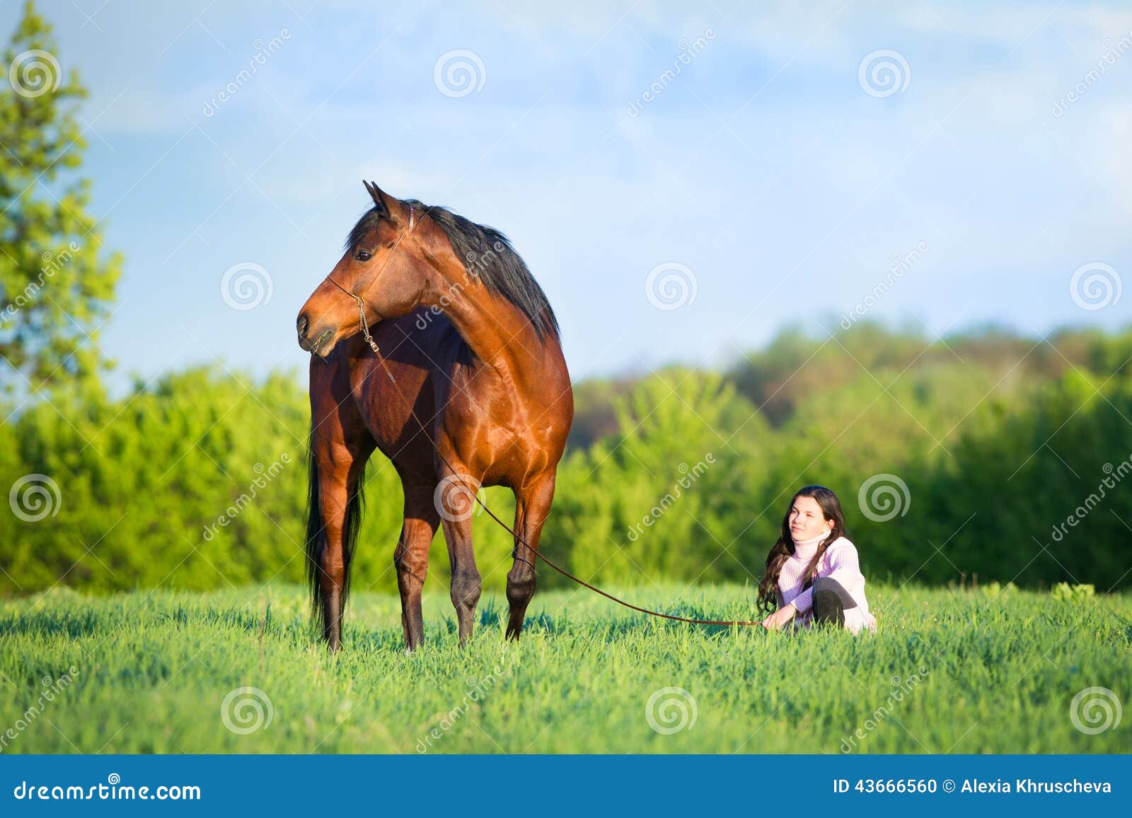 Foto de Cavalo De Frente Jóquei Menina Bonita Por Suas Rédeas Em Todo País  Em Equipamento Profissional e mais fotos de stock de Alazão - Cor de Cavalo  - iStock