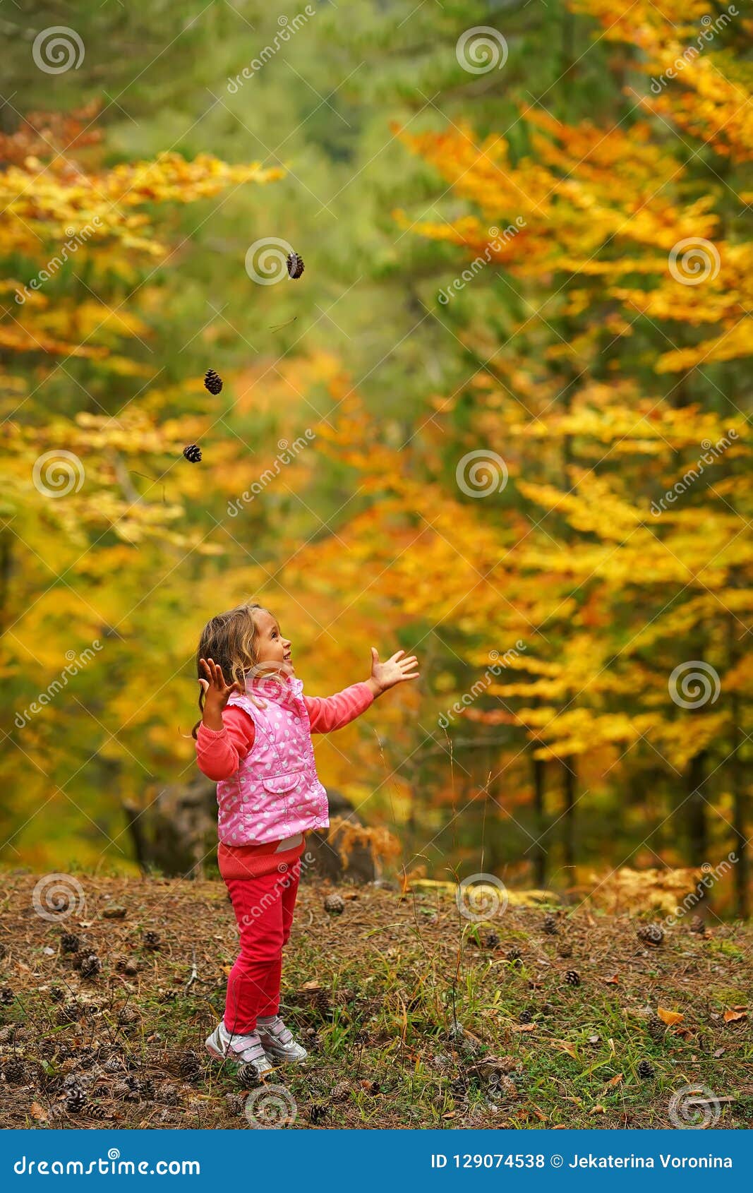 O playng da menina na floresta do outono joga acima cones