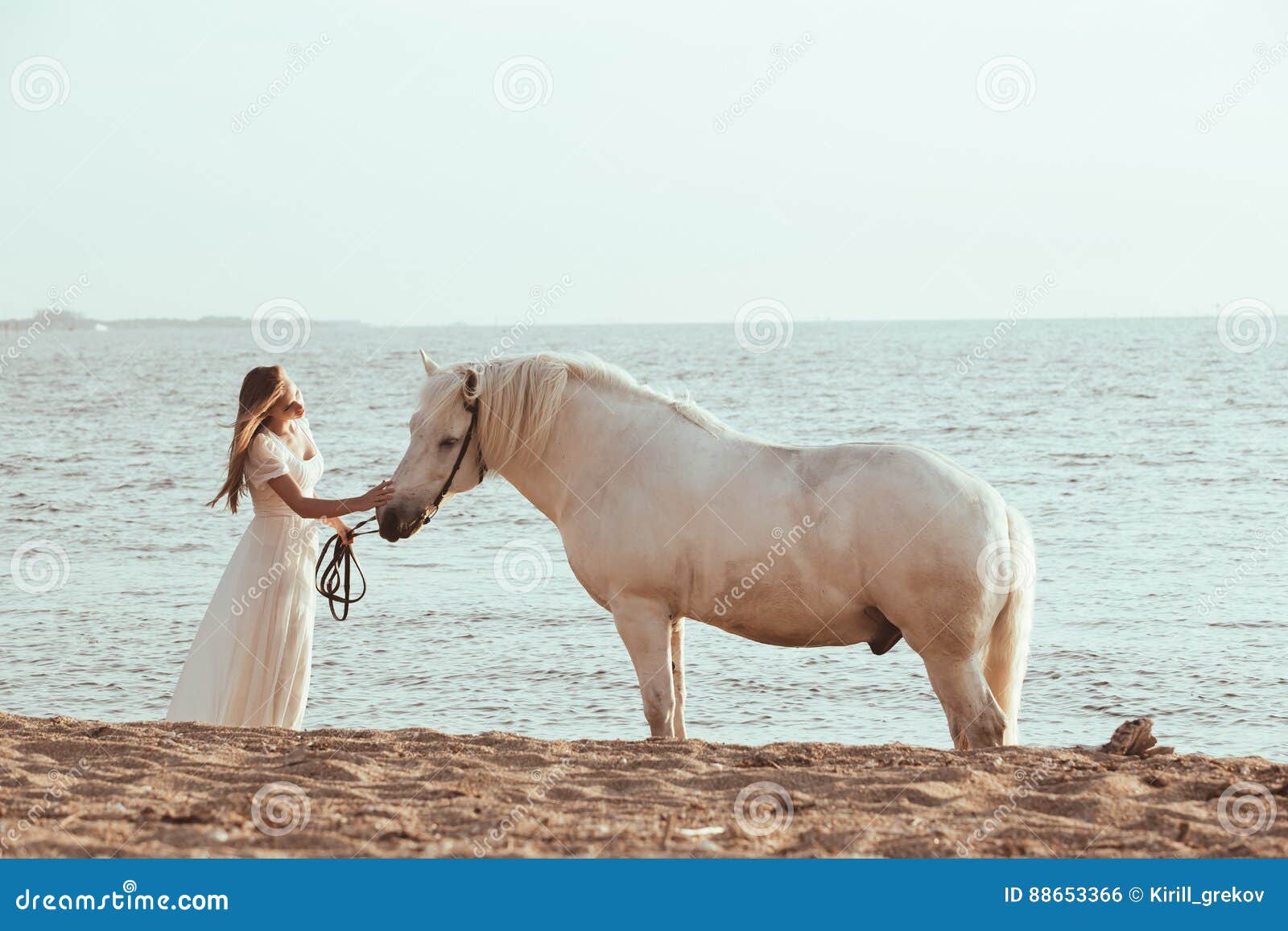 Menina no vestido branco com o cavalo na praia. Noiva bonita no vestido de casamento branco com o cavalo na praia