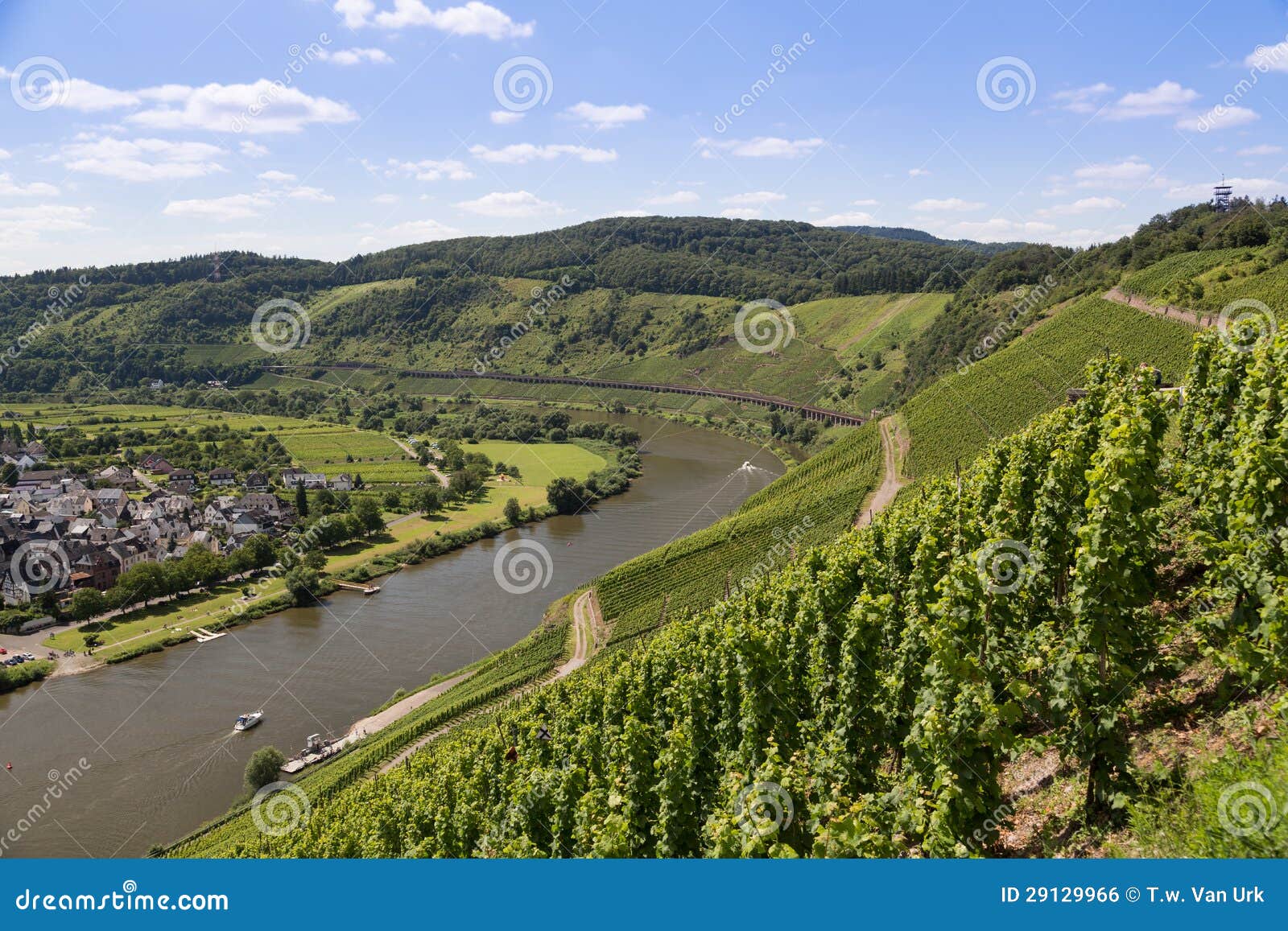 Mening Van Duitse Rivier Moezel Dichtbij
