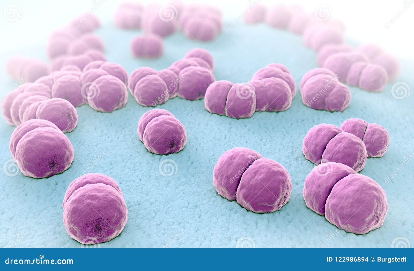 Meningitis Pathogens Called Menigococcus Stock Illustration