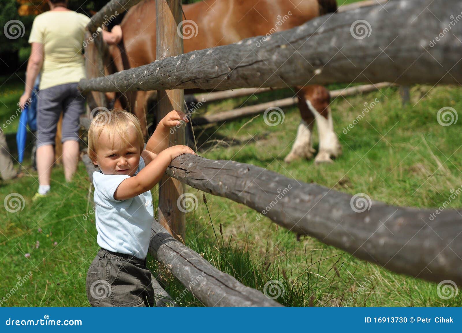 Um cavalo pulando uma cerca em um prado