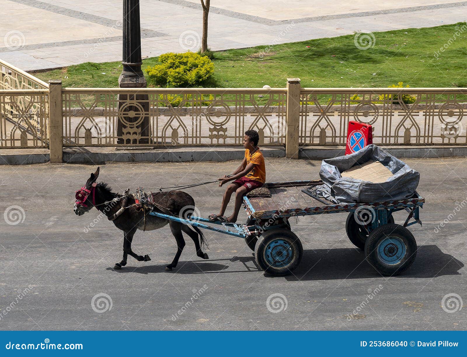 Pedalando, Deixou de ser burro de carga para ser uma roquei…