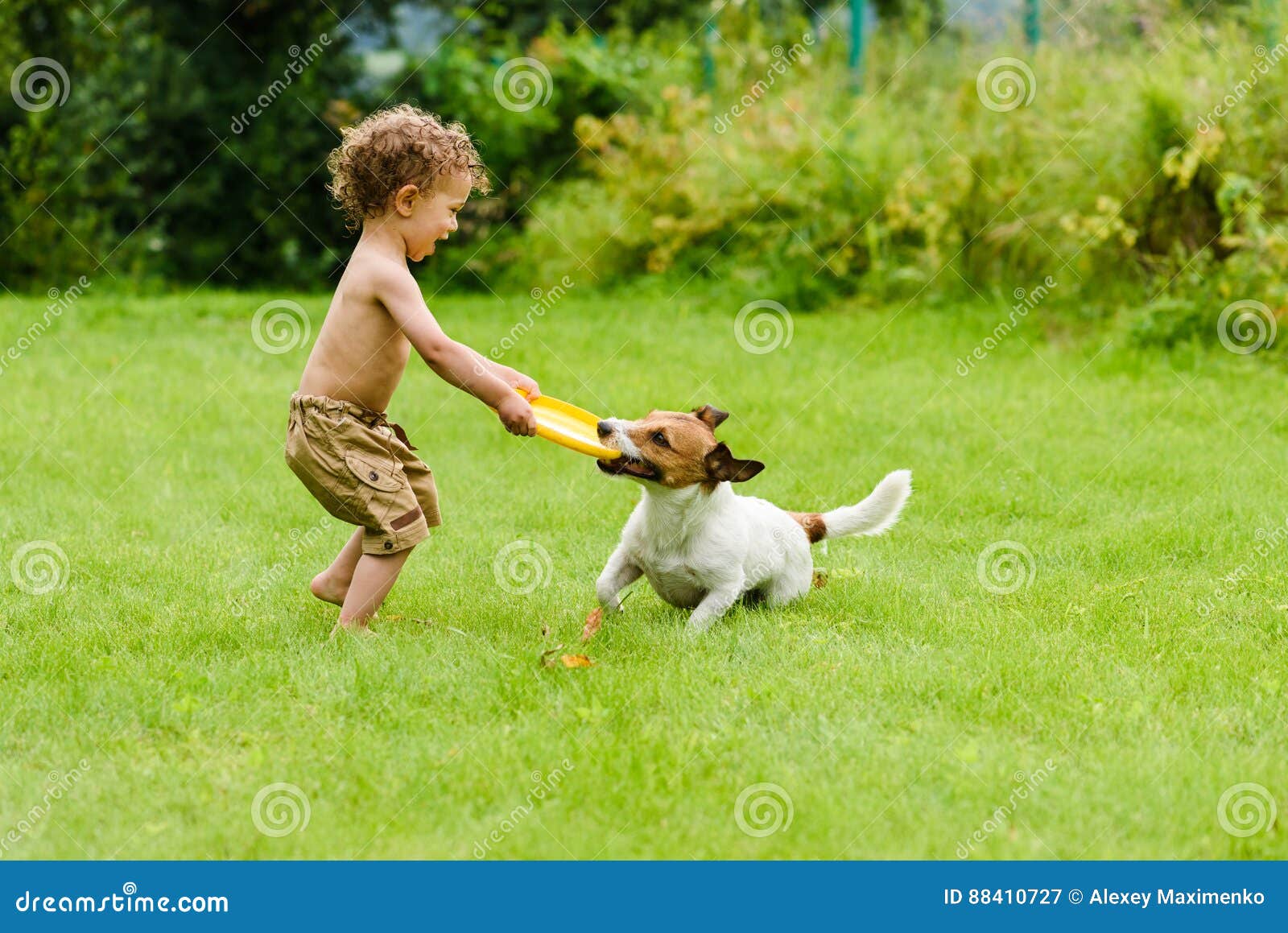 Cão Com a Bola Que Corre Da Criança Que Joga O Jogo Da Atualização Imagem  de Stock - Imagem de persiga, gramado: 87963521