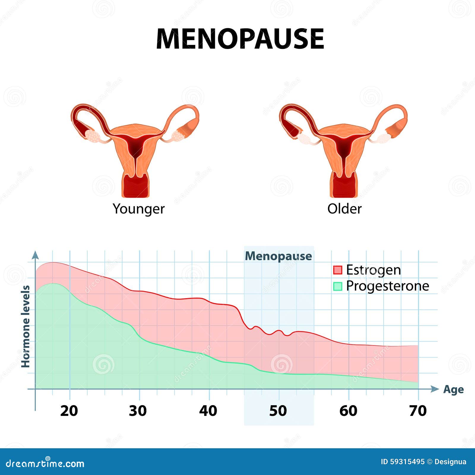 menopauza andropause anti aging