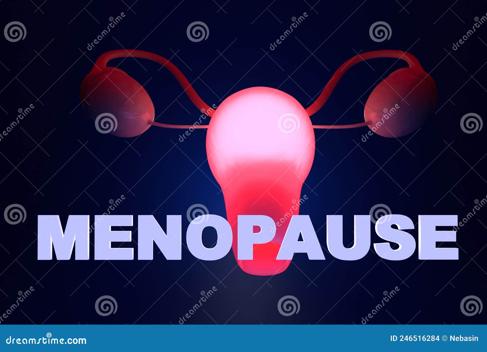 Menopause Concept. Glowing Uterus and the Inscription Menopause on a