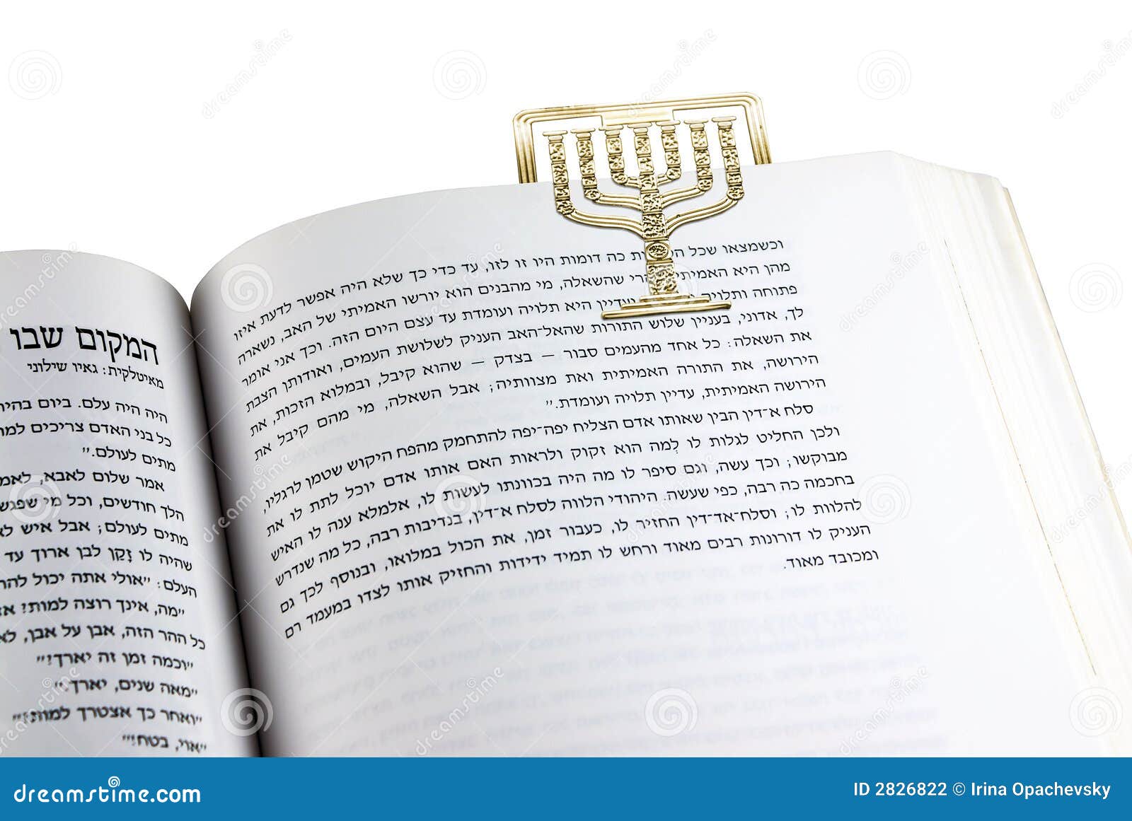 Menorah stock photo. Image of reading, literature, wisdom 2826822