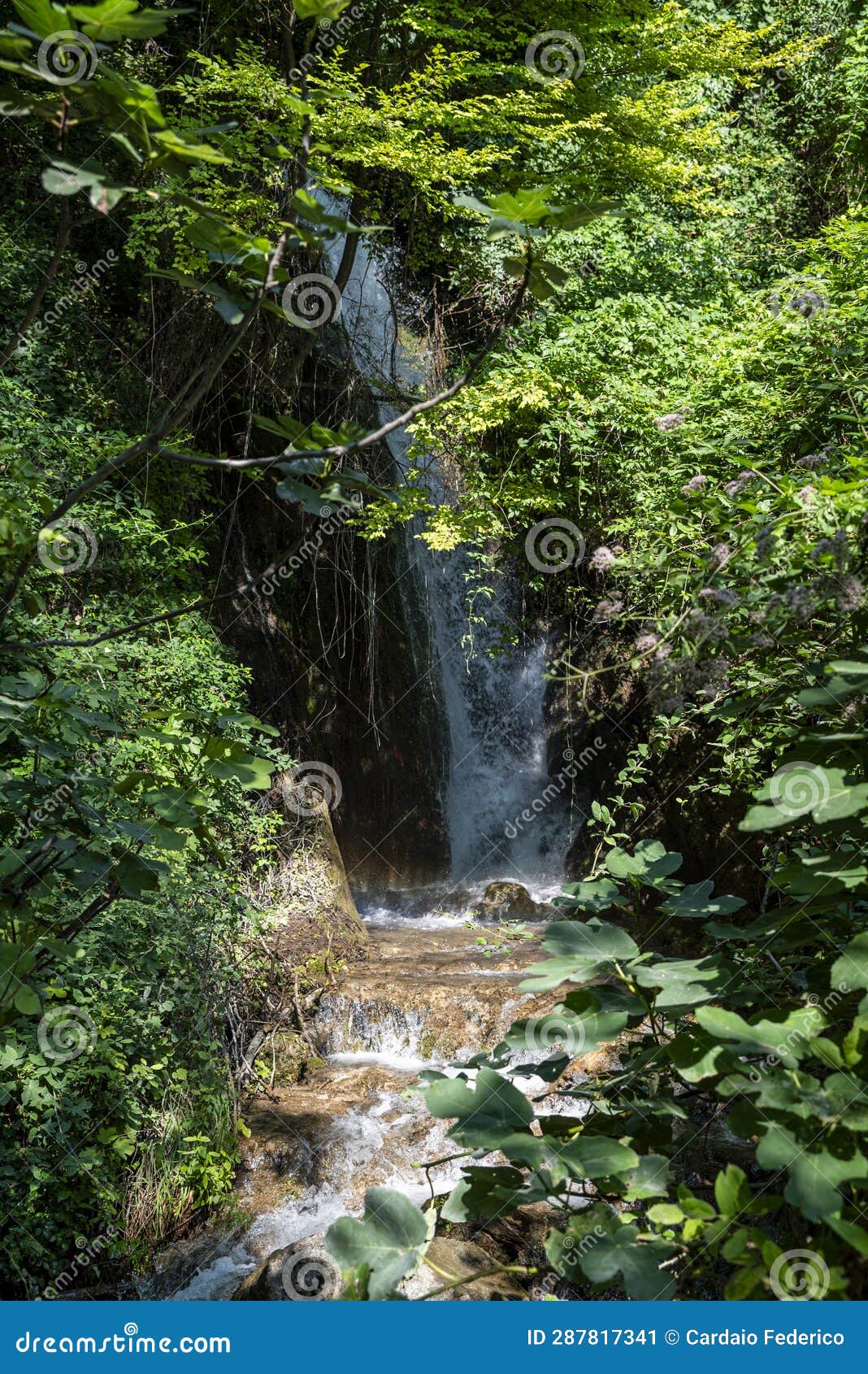 Menotre Waterfalls In Pale Immersed In Nature Stock Image Image Of Roaring Outdoor 287817341