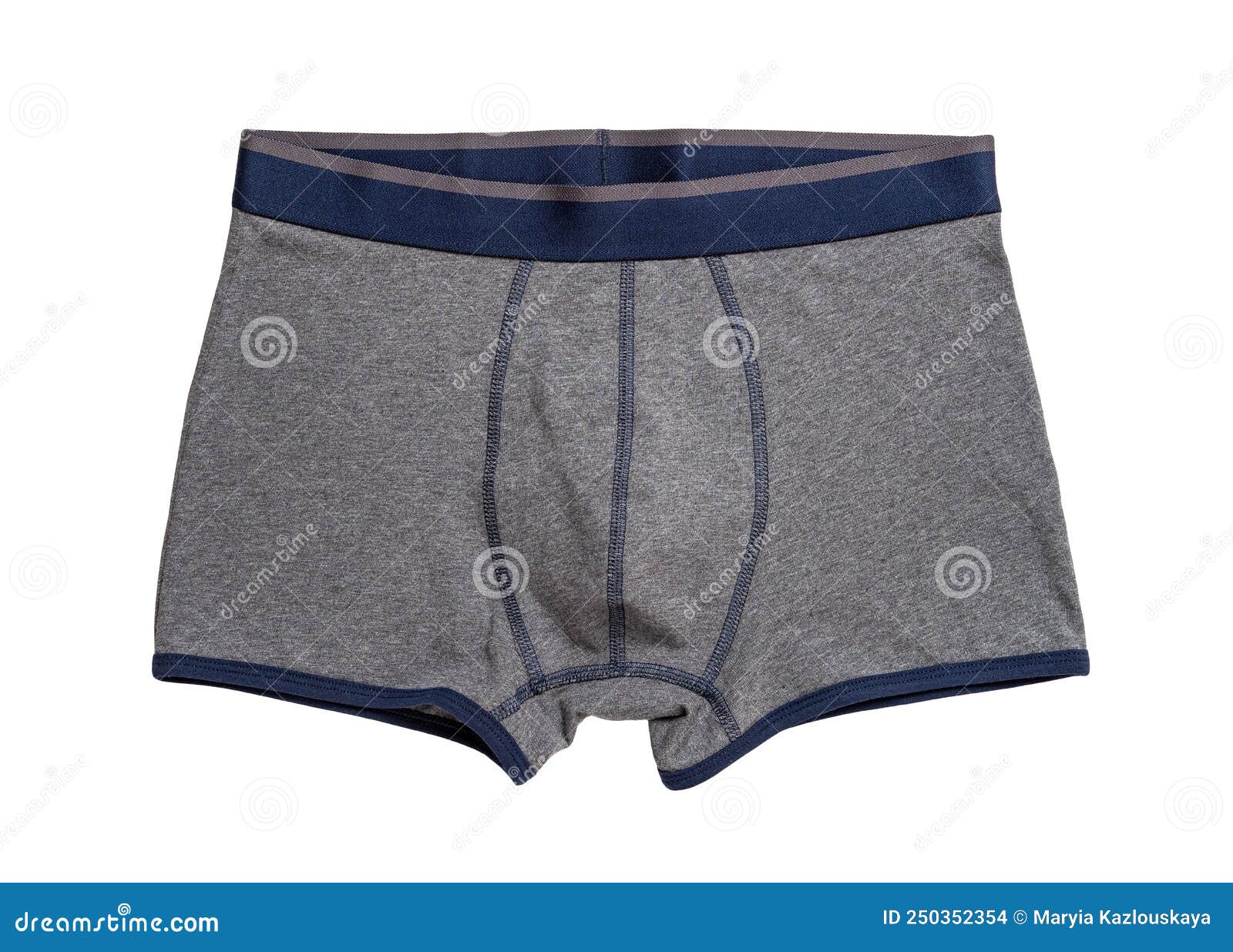 Mens Gray Boxers Isolated on a White Background. Male Tight Underwear ...