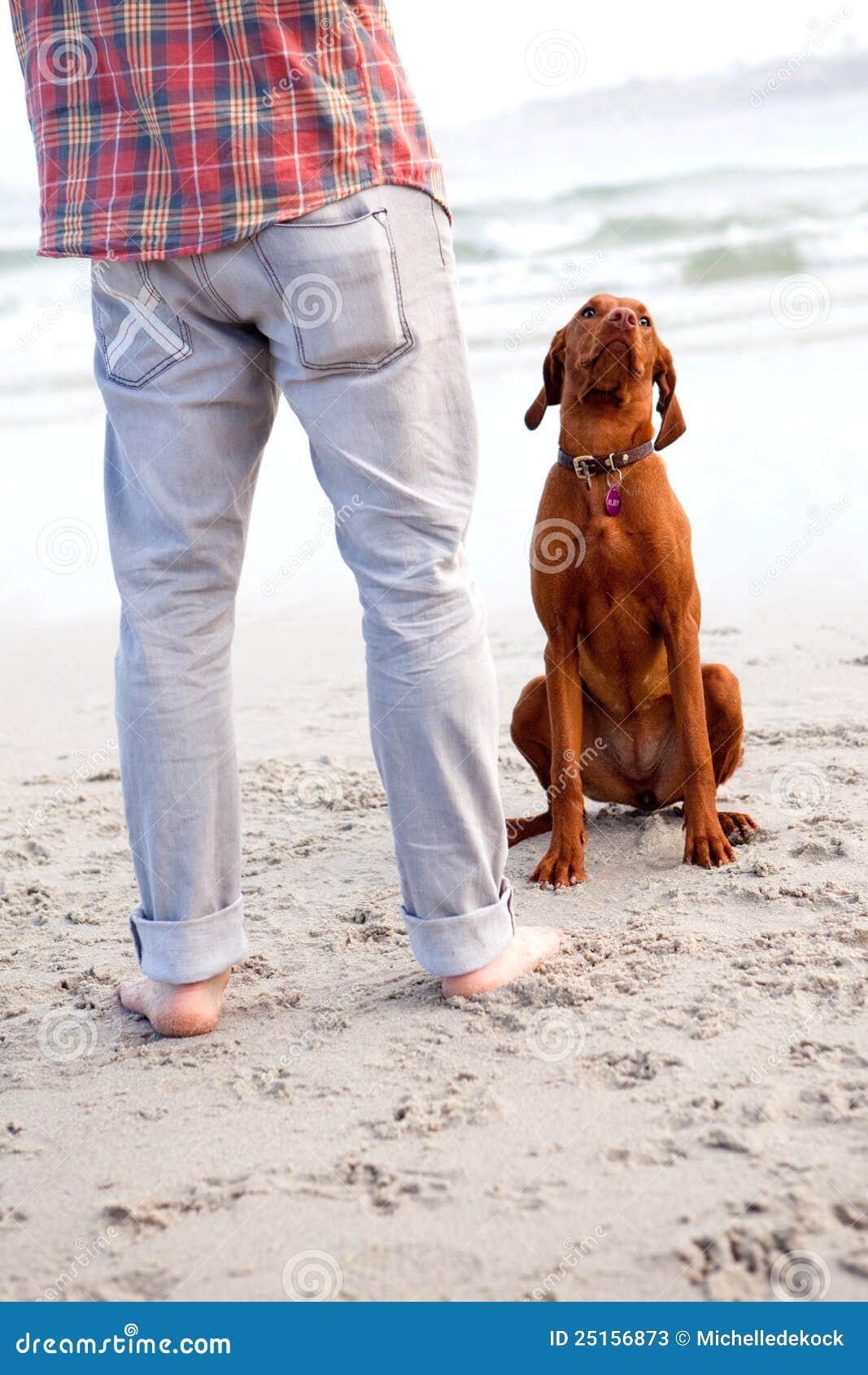 Mens met vizsla. Mens die zich op het strand met zijn vizsla bevindt