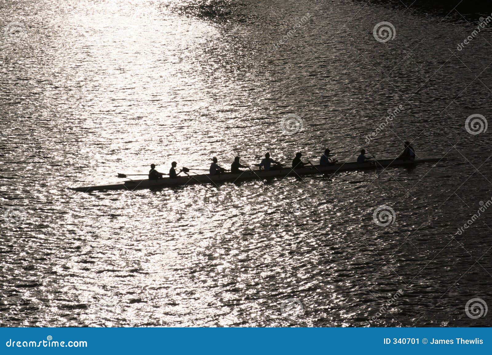 mens rowing team