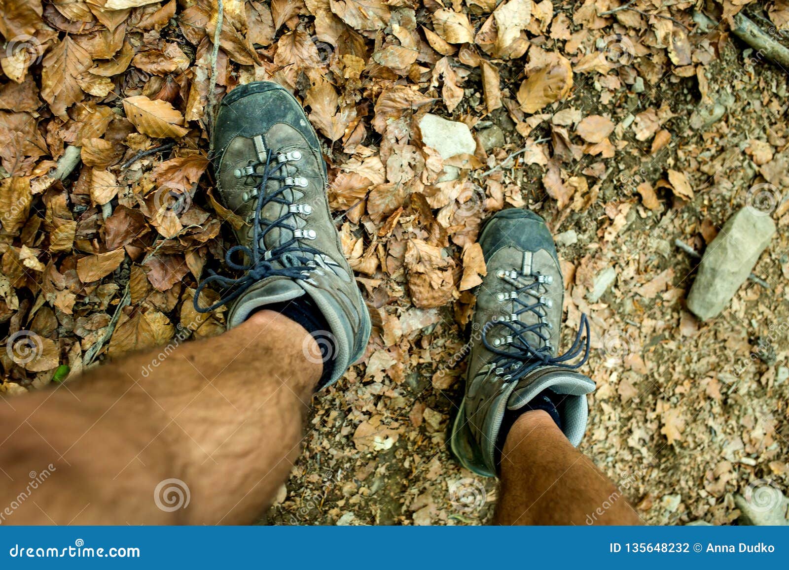 Mens Trekking Shoes while Hiking in Forest Stock Photo - Image of hike ...