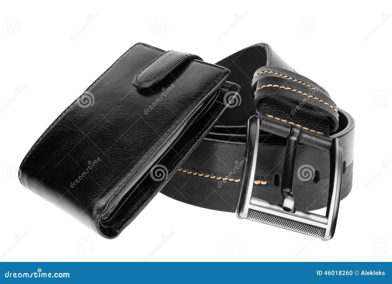 Mens wallet and belt stock photo. Image of brown, crocodile 46018260