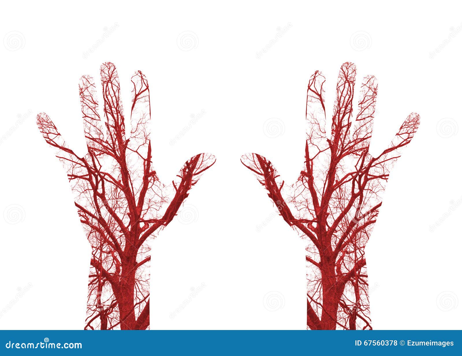 x 4/8 3/9 Blutgefäße form, Bild blut von stockfoto. Menschliche x 4/8 3/9 Blutgefäße form, Bild blut von stockfoto. Menschliche