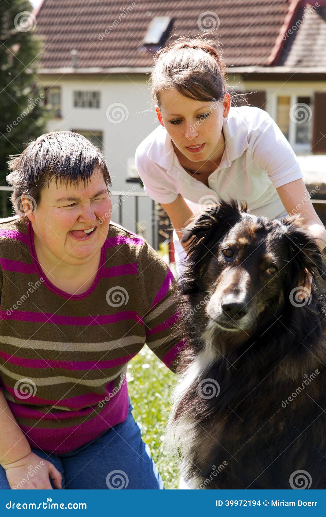 11,356 Animal Therapy Stock Photos - Free & Royalty-Free Stock Photos from  Dreamstime