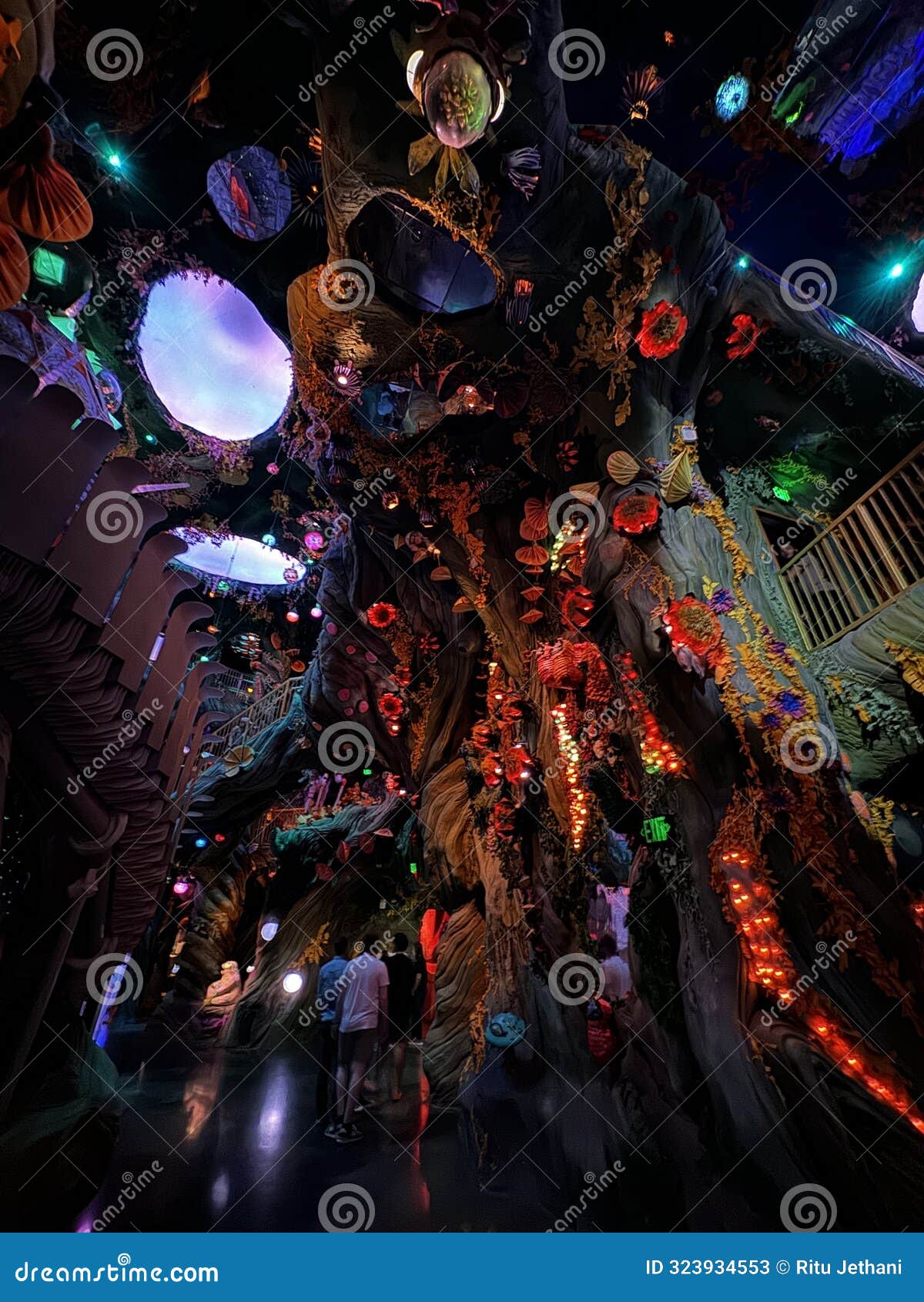 Meow Wolf Immersive Art Experiences and Interactive Exhibits in Denver
