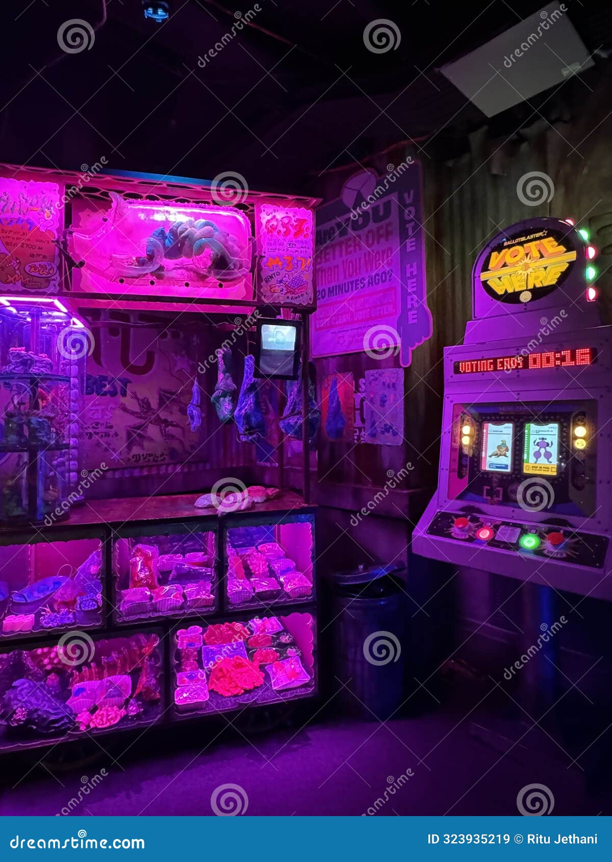 Meow Wolf Immersive Art Experiences and Interactive Exhibits in Denver
