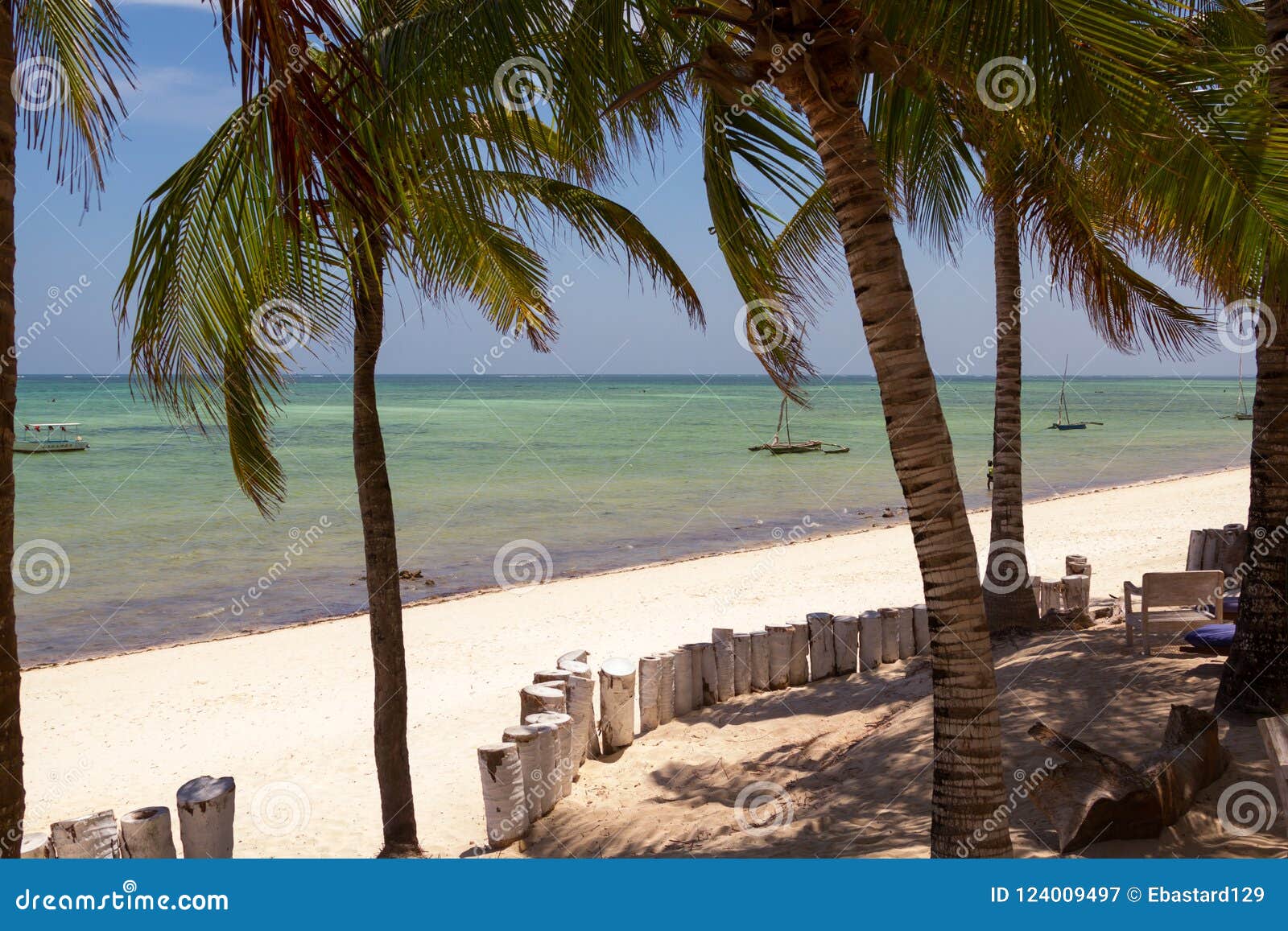 Mer de cocotier de plage photographie éditorial. Image du ressource ...