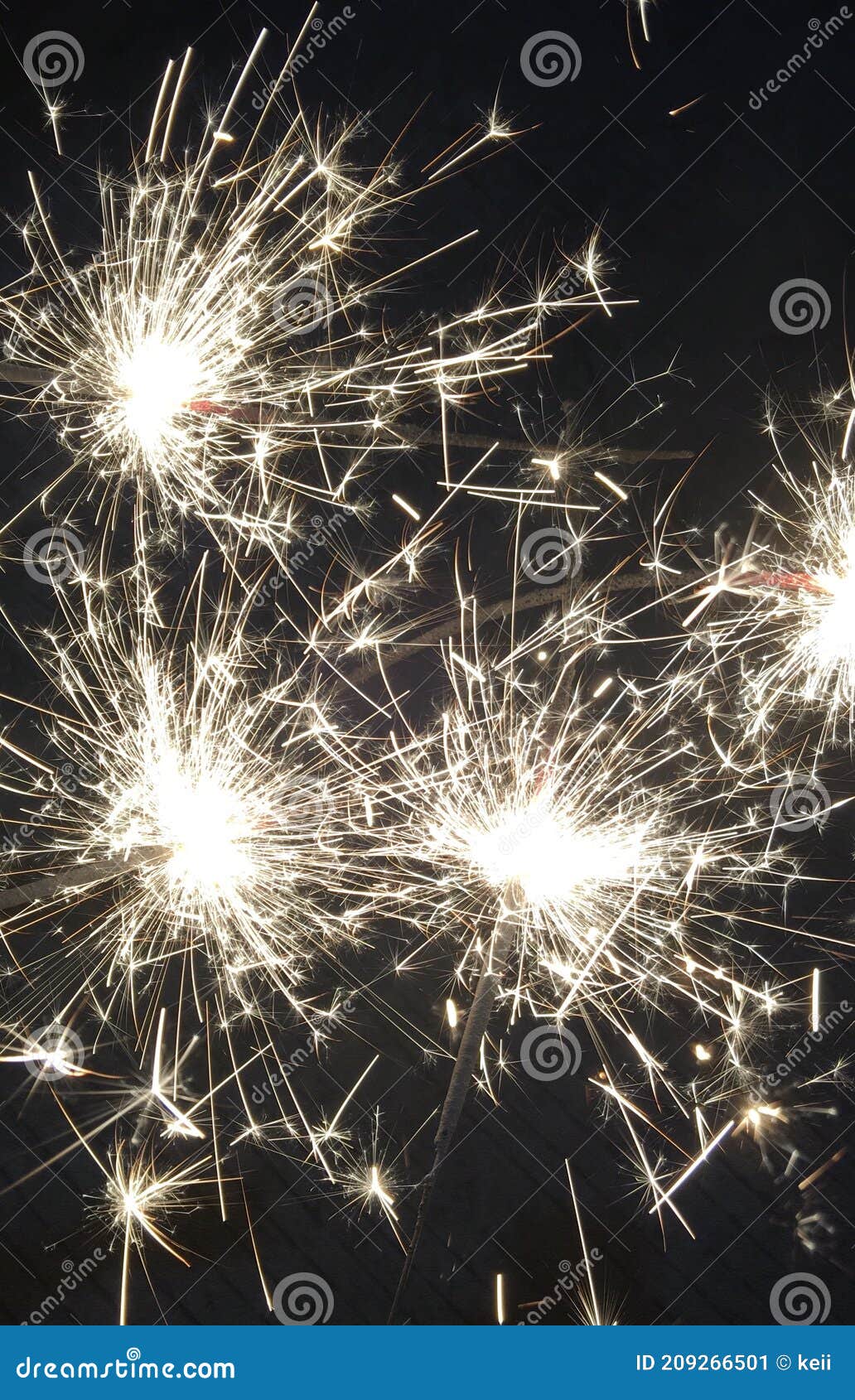 celebrating happy new year