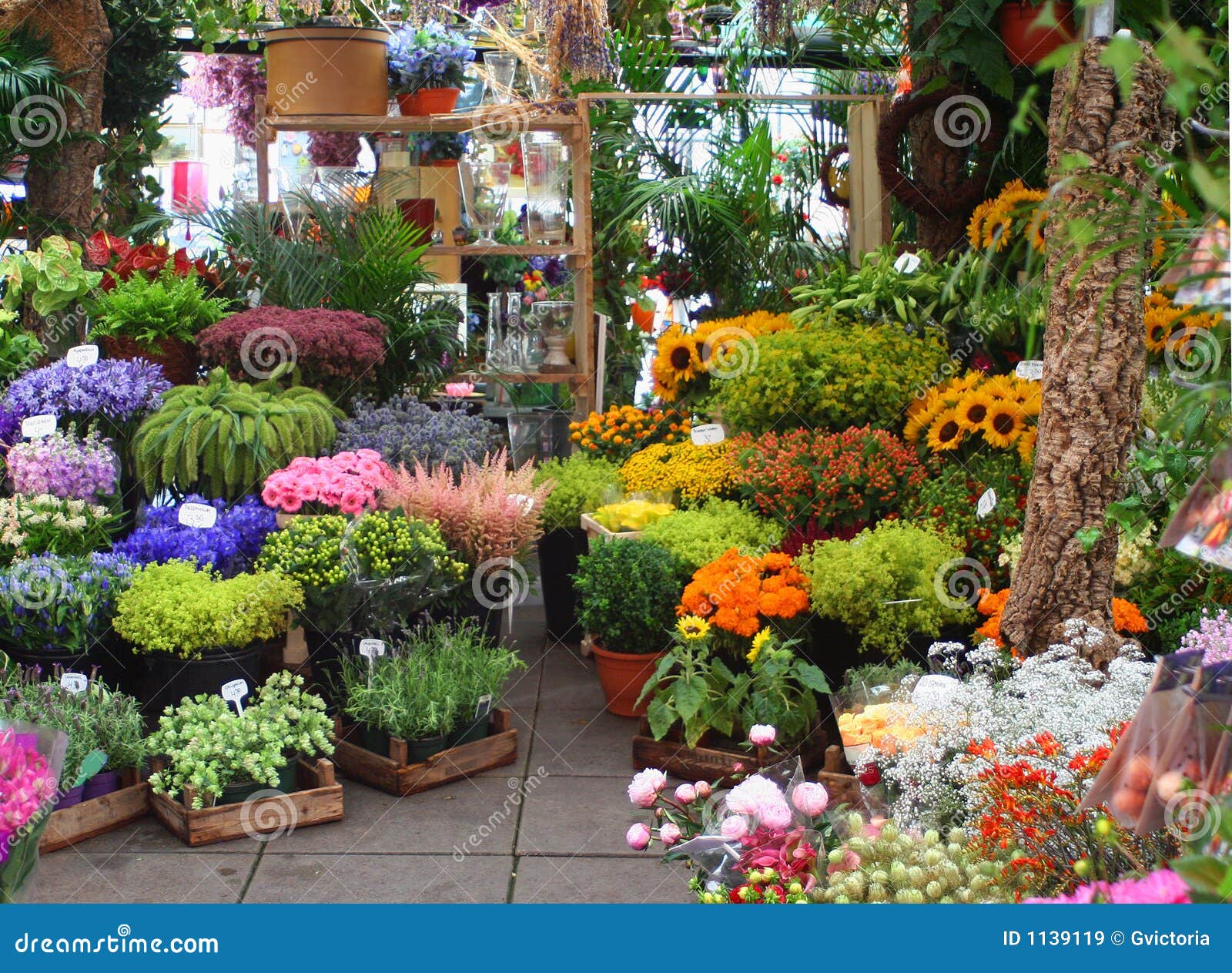 Mercado da flor imagem de stock. Imagem de sazonal, variedade 1139119