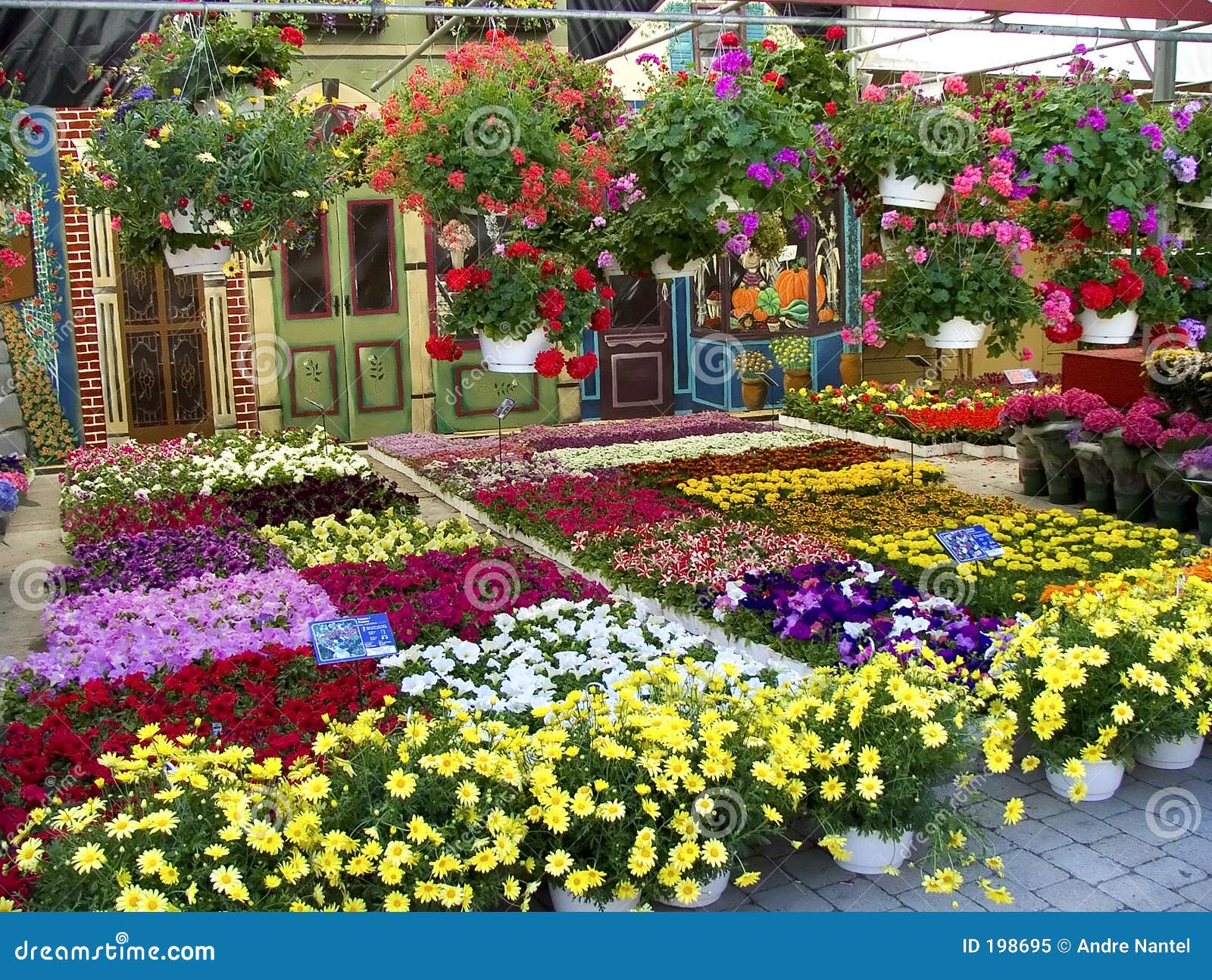 Mercado da flor imagem de stock. Imagem de mercado, horticultura 198695