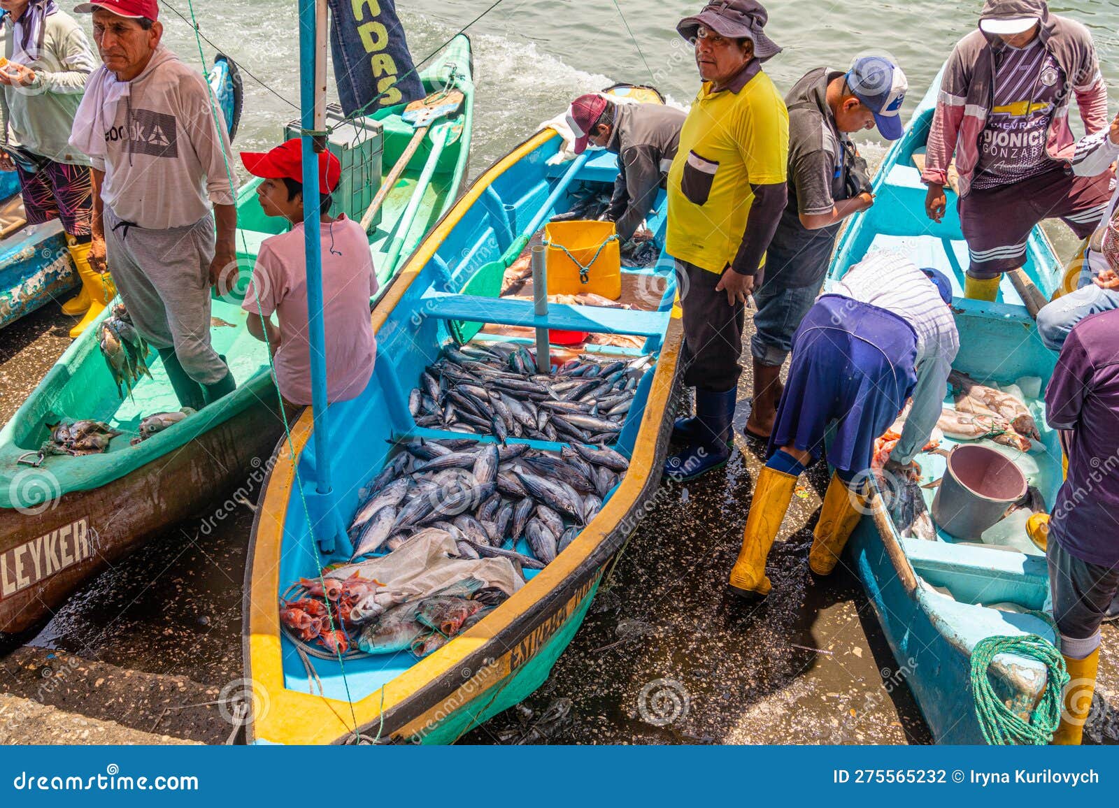 Inauguran tienda de accesorios de pesca responsable para pescadores  artesanales del Caribe de Guatemala - Artículo