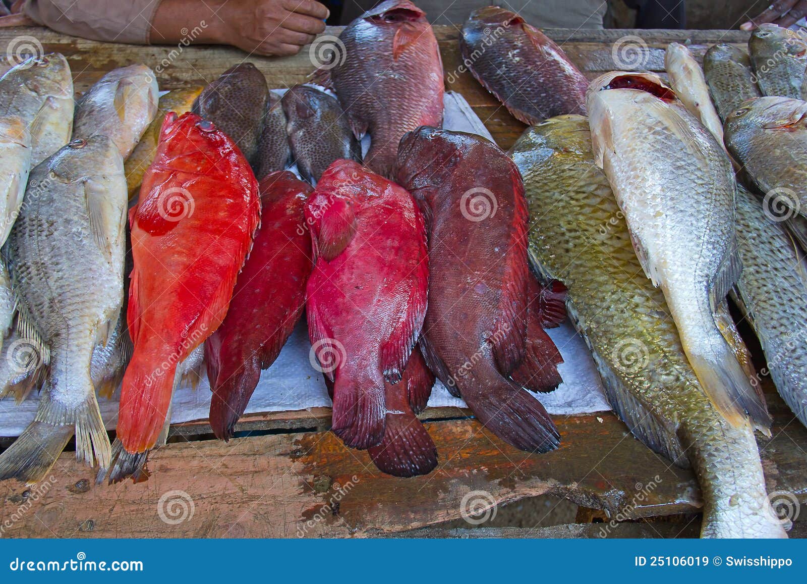 Pescados frescos en el mercado de pescados de Maputo