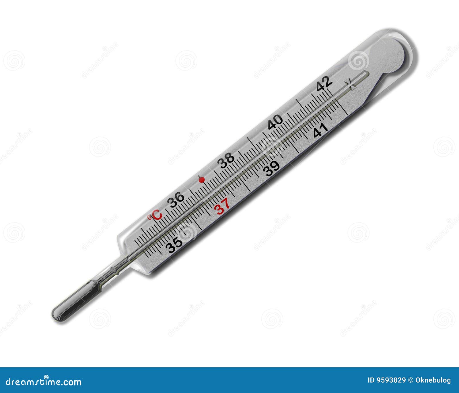 mercurial thermometer (36,6) 