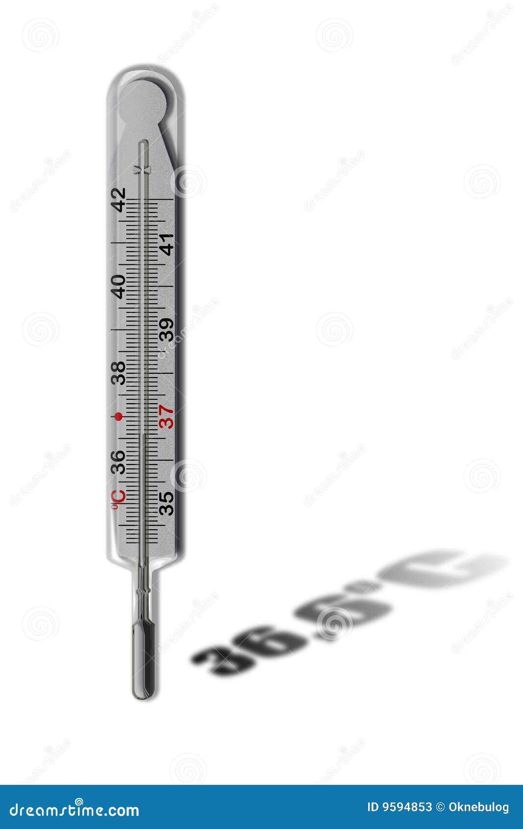 mercurial thermometer