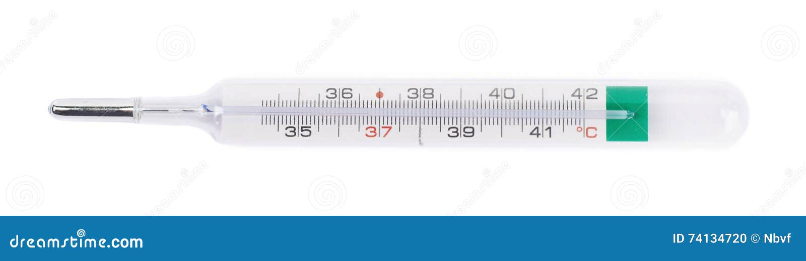 Mercury Thermometer Isolated Stock Photo Image of healthy, accuracy