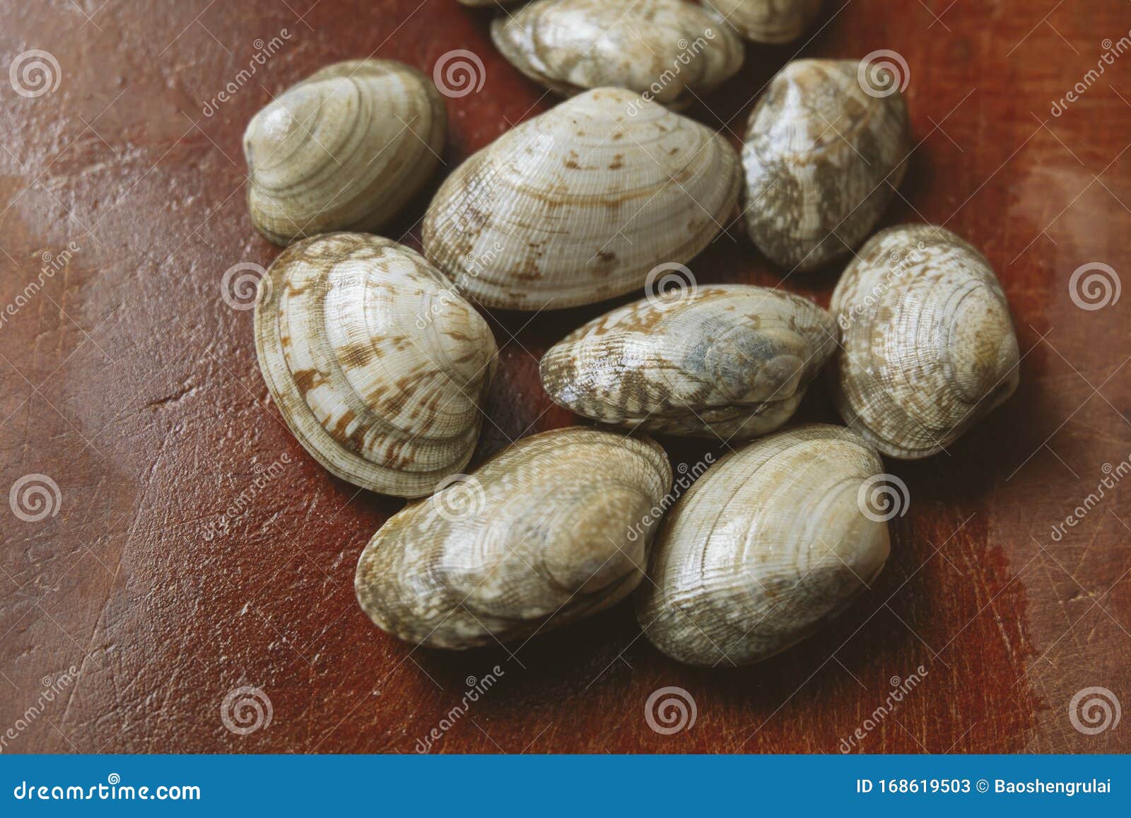 Clams on the Vegetable Board Stock Image Image of cycle, rapidly