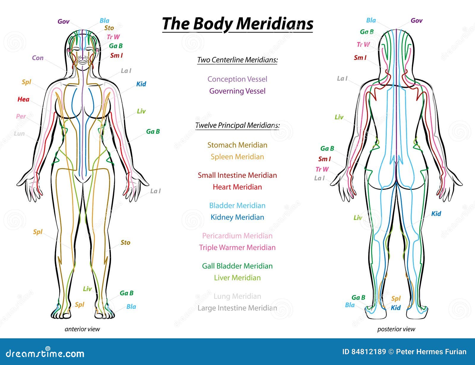 Kidney Meridian Chart