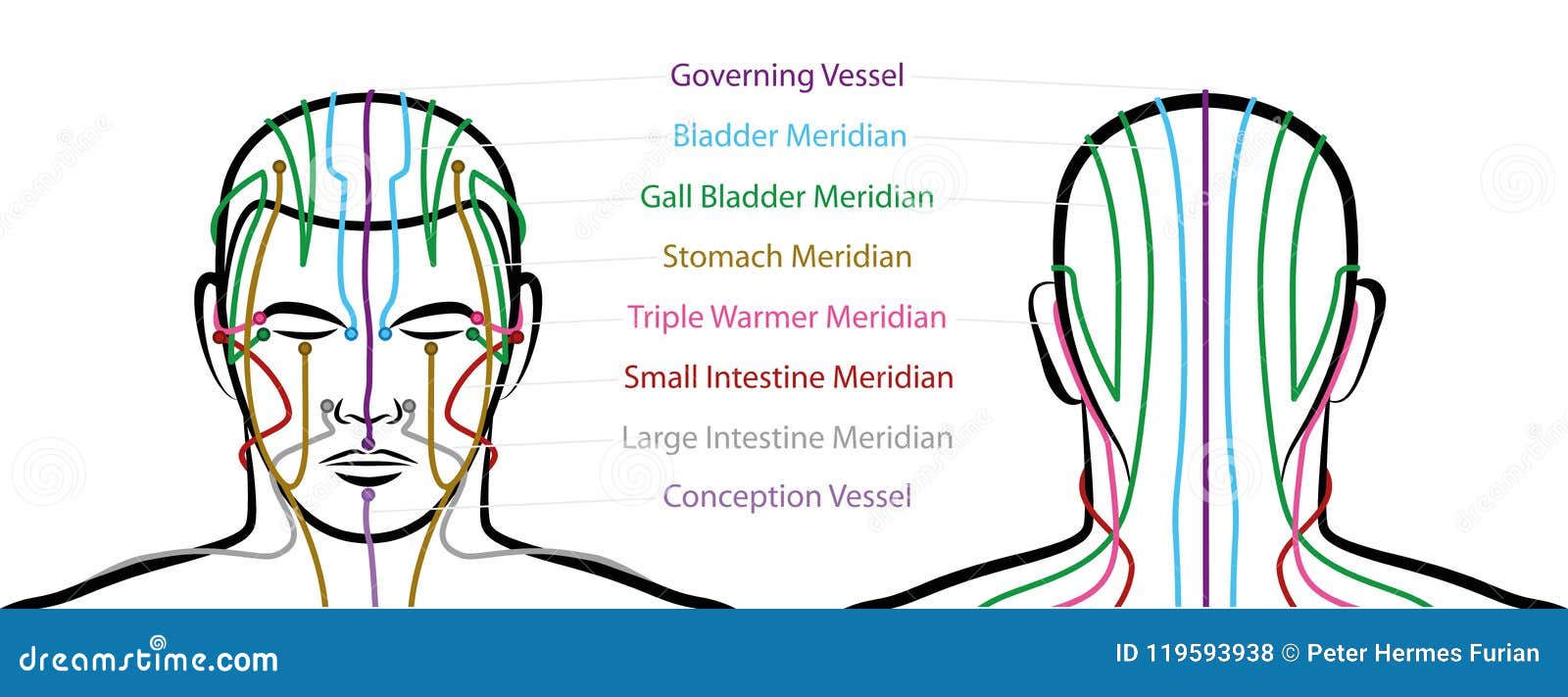 meridians male head acupuncture points