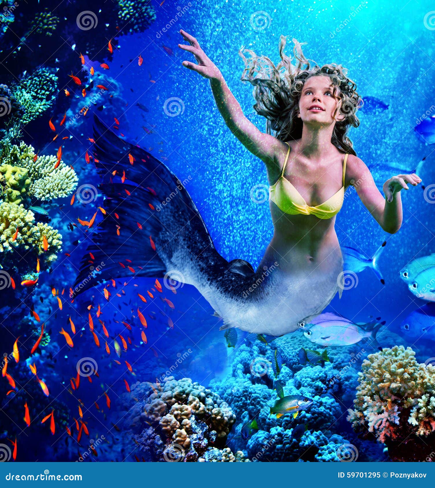 26,241 Mermaid Mermaid Stock Photos - Free & Royalty-Free Stock