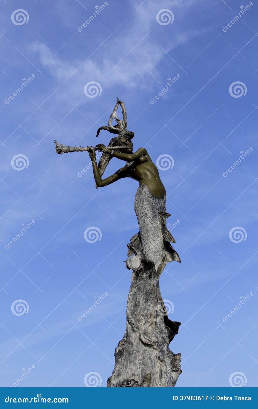Mermaid Statue Ventura California Stock Image Image of bronze