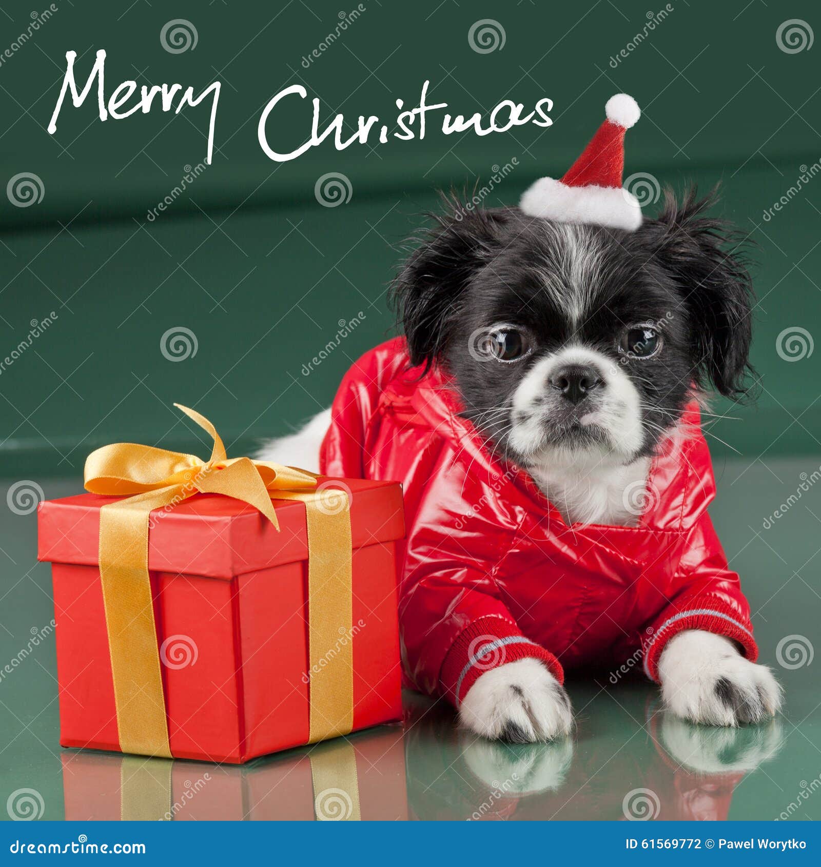 merry christmas dog clipart - photo #35