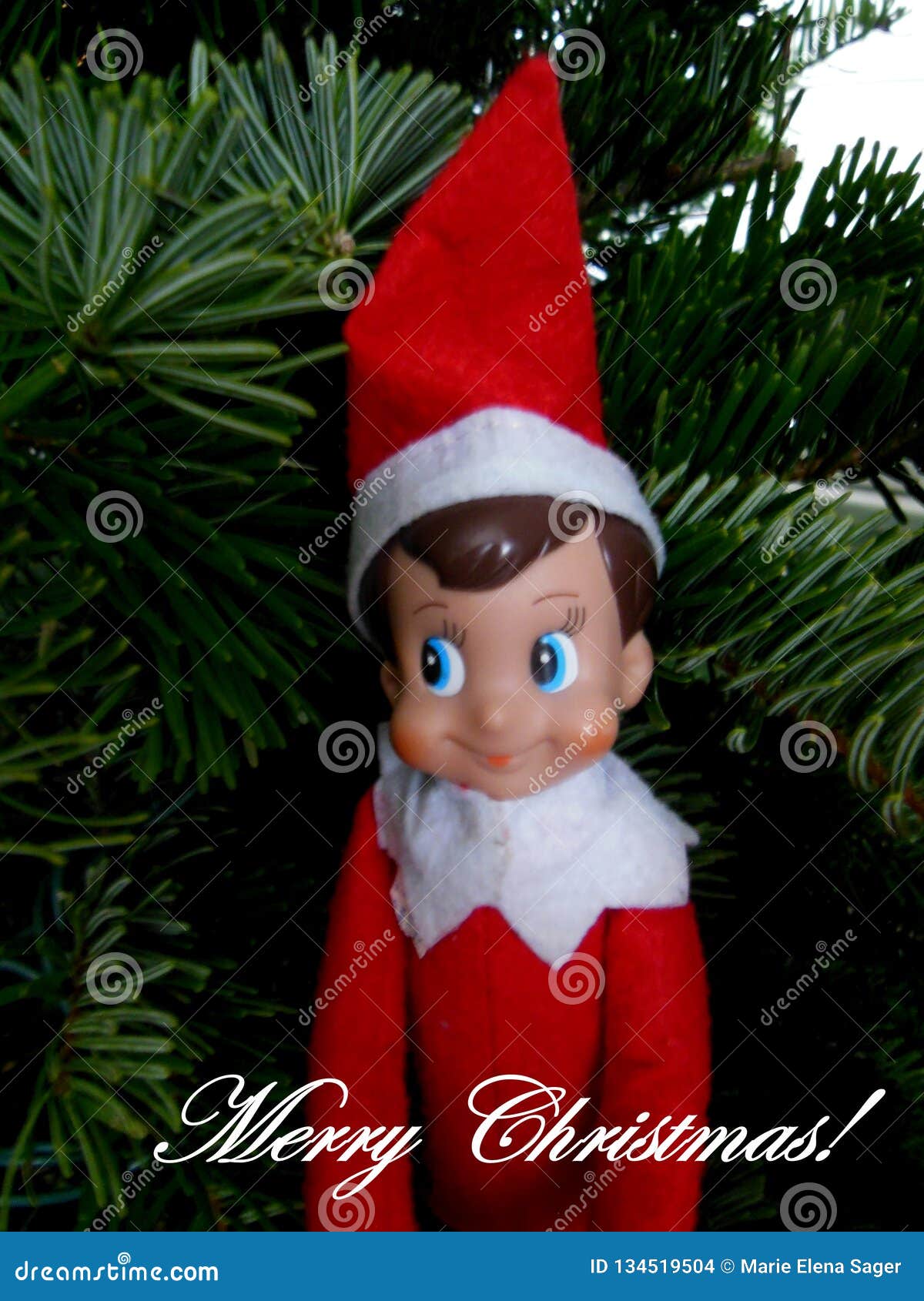 Elf On The Shelf Svenska