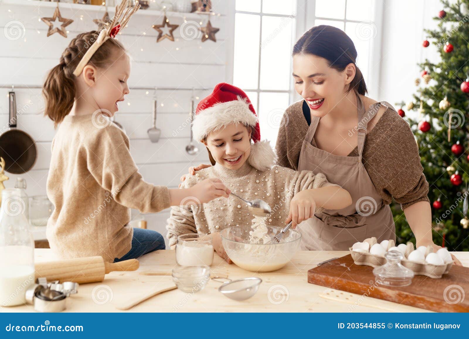 Cooking Christmas food stock image. Image of christmas - 203544855