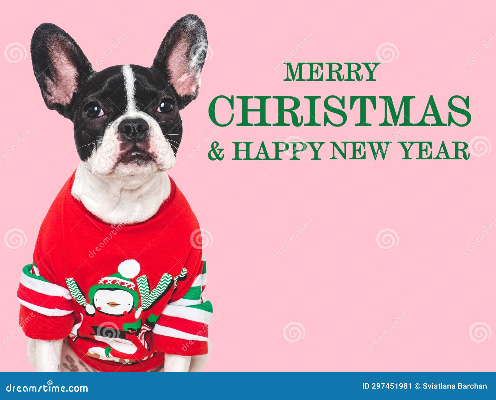 Merry Christmas. Lovable Puppy and Warm, Knitted Sweater Stock Image
