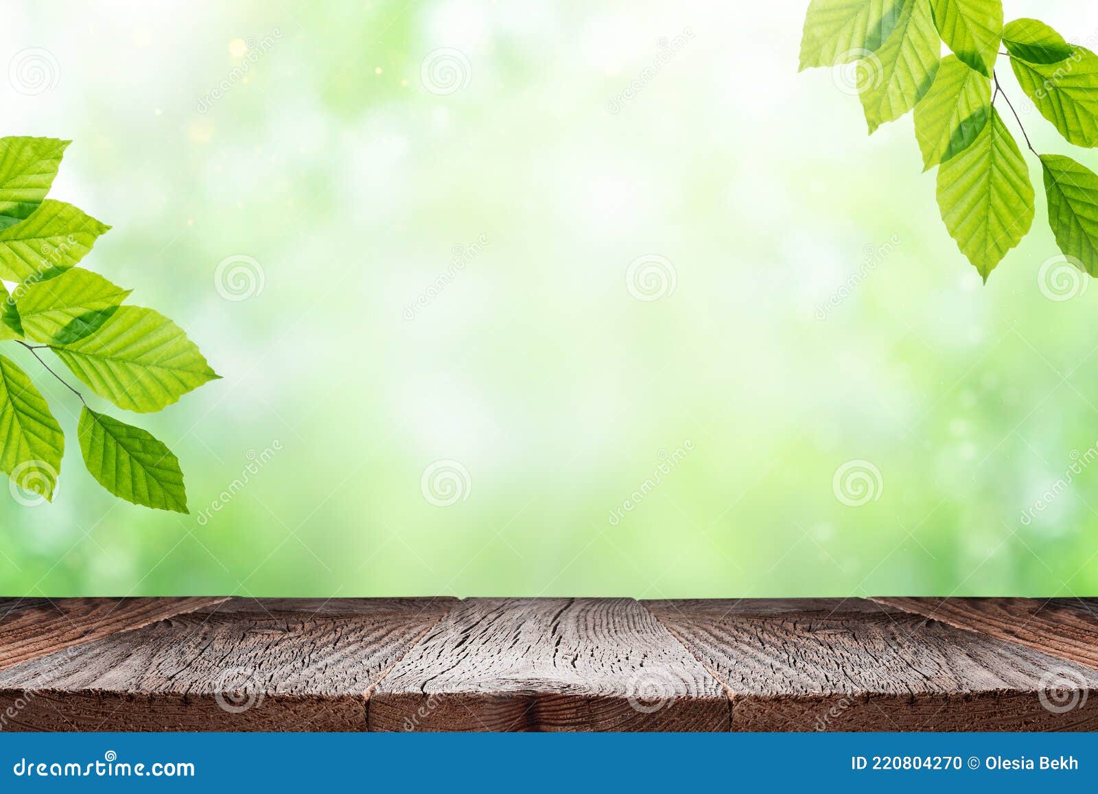 Mesa De Madera Vacía Y Hojas Verdes De La Planta Sobre Fondo De Naturaleza  Borrosa. Foto de archivo - Imagen de copia, escritorio: 220804270