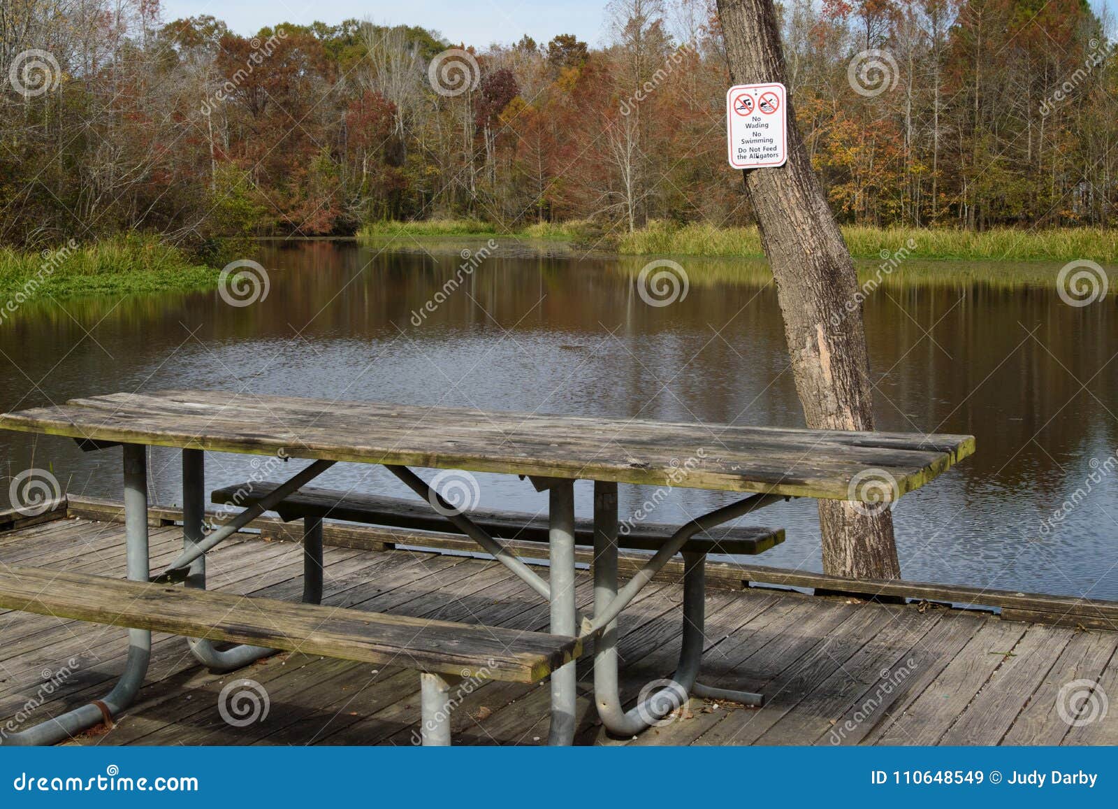 Mesa de picnic con la señal de peligro del cocodrilo. Señal de peligro del cocodrilo fijada en un árbol al lado de una mesa de picnic en el parque de estado de Chitto del Bogue, Washington Parish, Luisiana